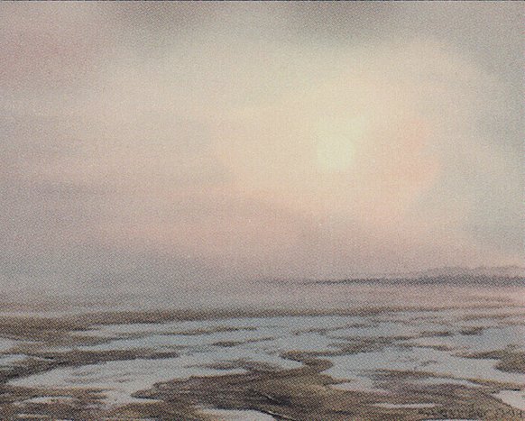 Tidal Flats