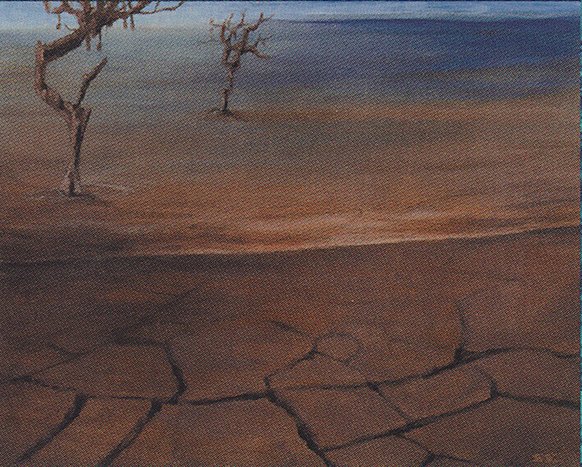 Tidal Flats