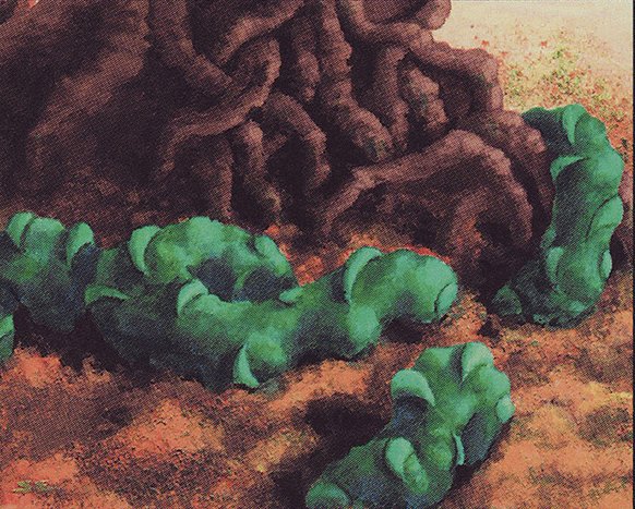 Night Soil