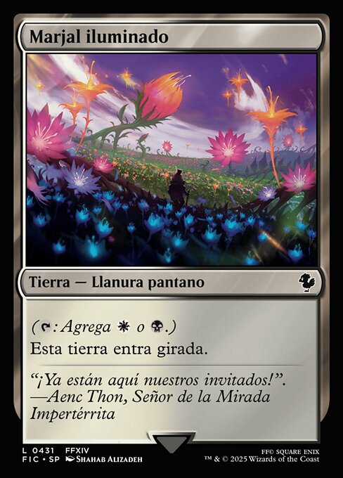 Marjal iluminado