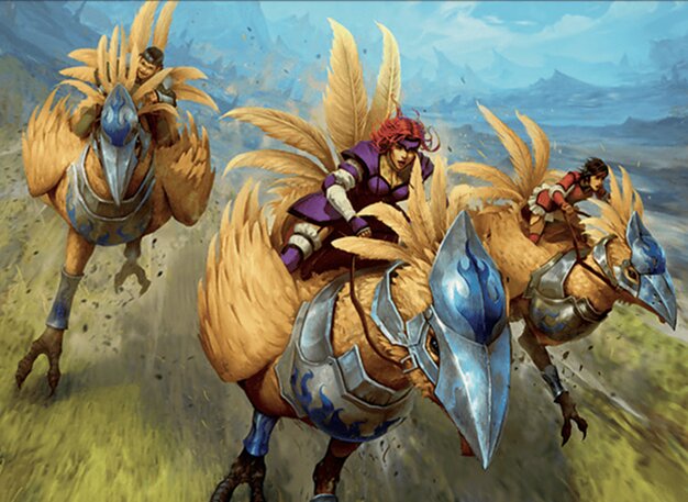 Chevaliers chocobos