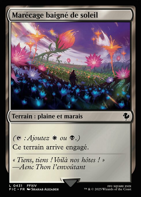 Marécage baigné de soleil