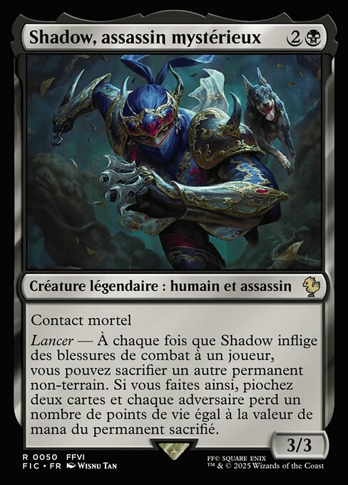 Shadow, assassin mystérieux