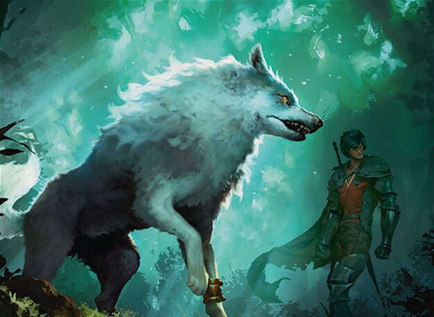 Torgal, Ottimo Segugio