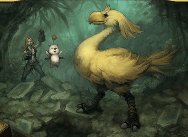 桃源郷の探求者、チョコ