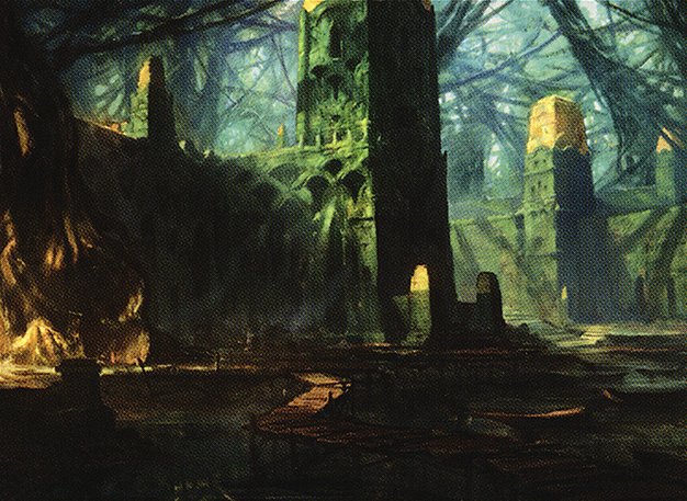 Swamp