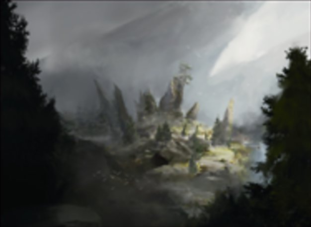 Forêt