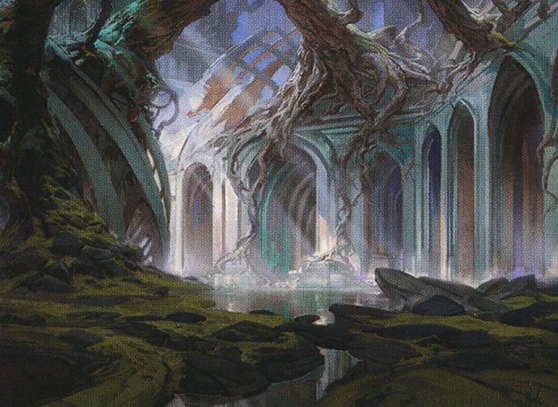 Swamp