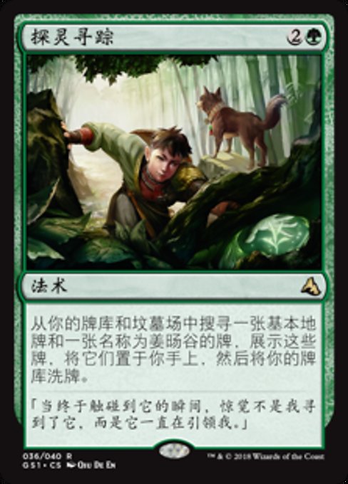 探灵寻踪