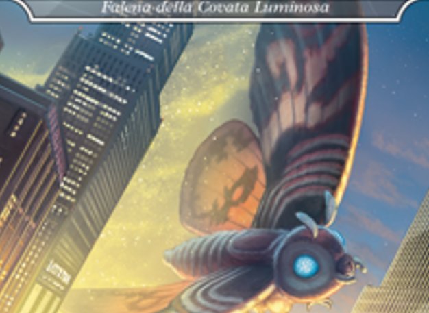 Falena della Covata Luminosa