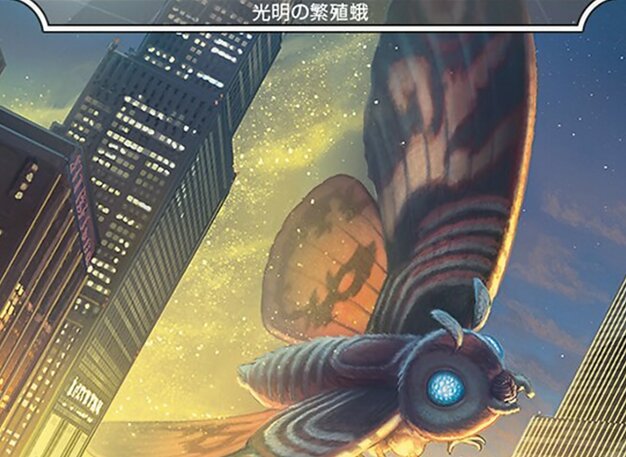 光明の繁殖蛾