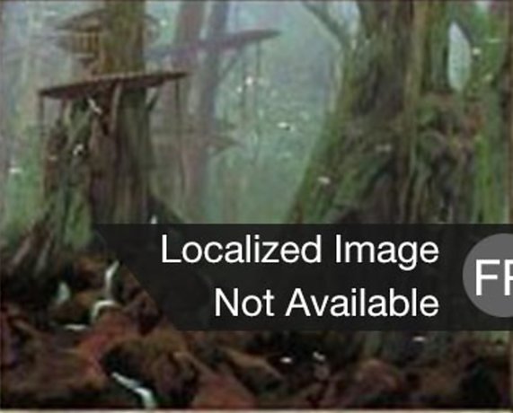 Forêt