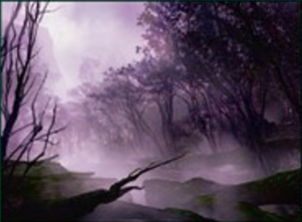 Forêt