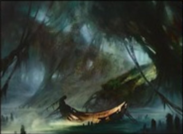 沼泽