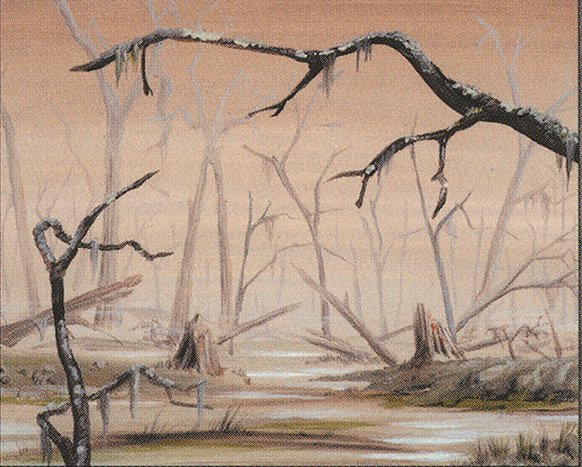 Swamp