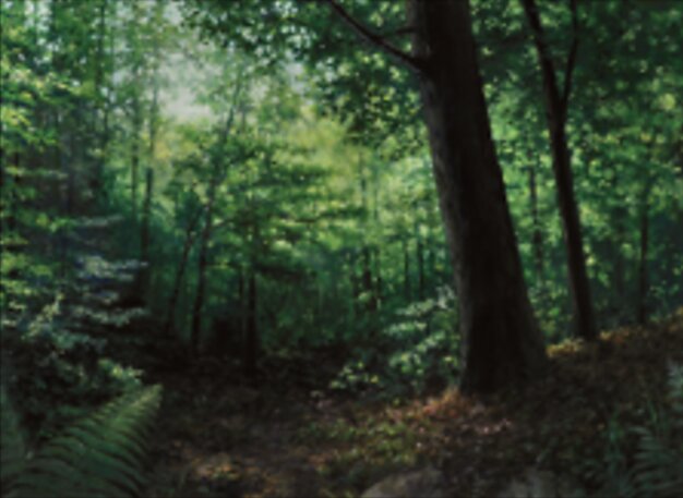 Foresta