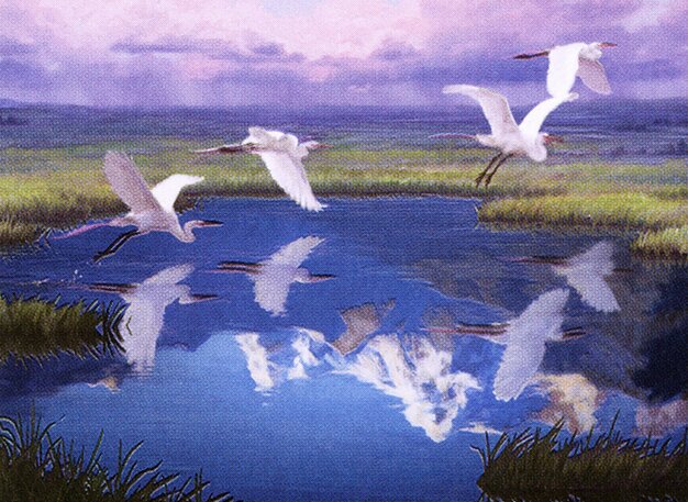 Migratory Route