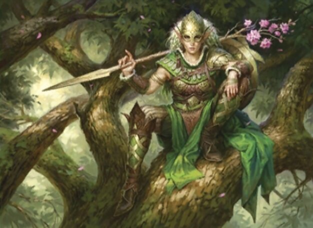 A-Canopy Tactician