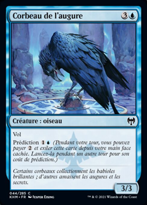Augury Raven