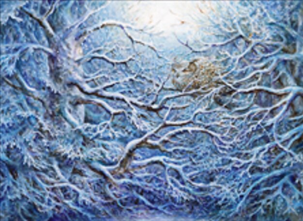 覆雪樹林