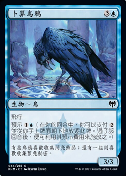 Augury Raven