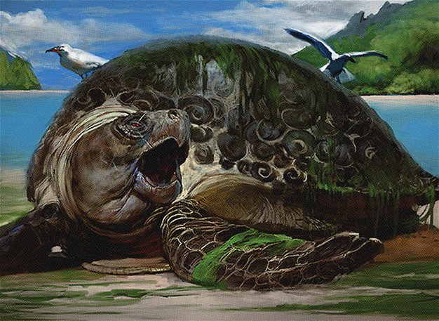 Thriving Turtle
