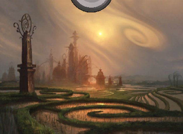 Swamp