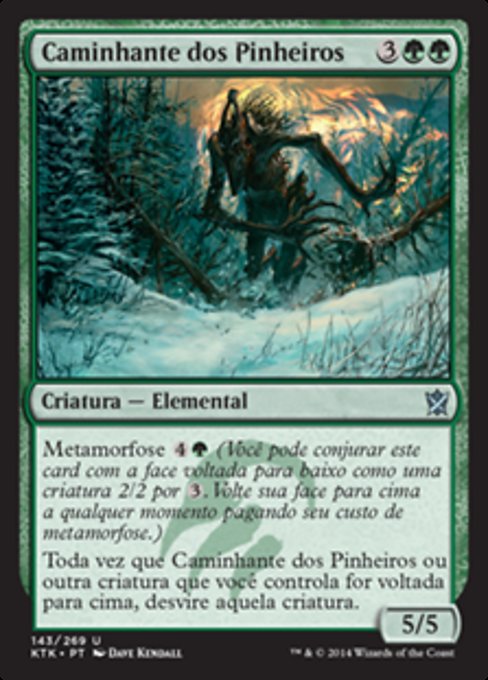 Caminhante dos Pinheiros