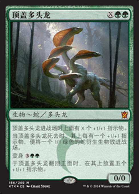 顶盖多头龙