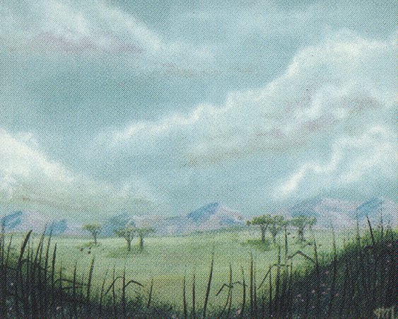 Plains
