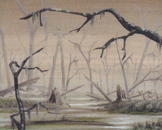 Swamp