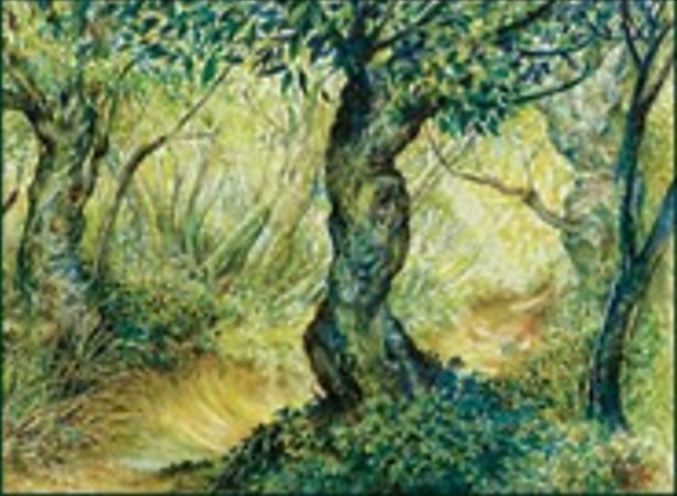 Wald