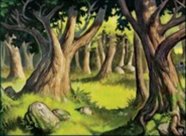 Wald