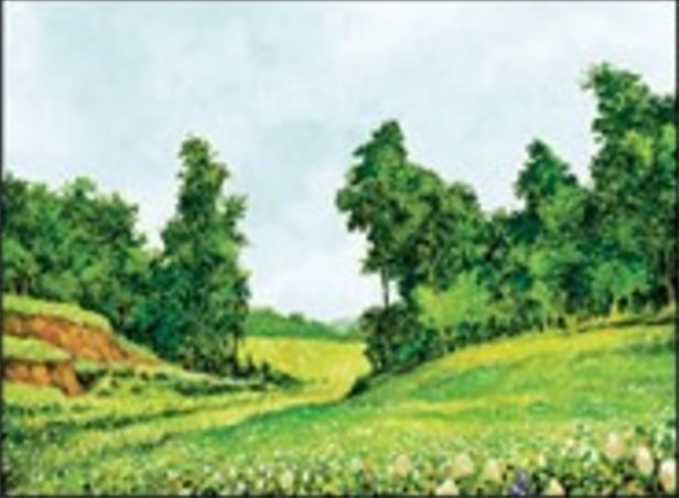 Равнина