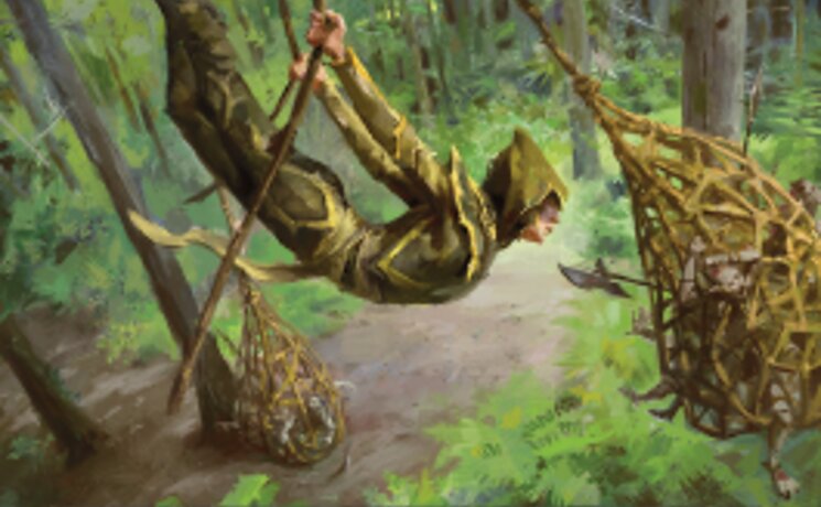 Fallensteller aus dem Düsterwald
