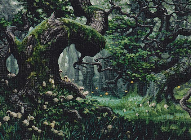 Forest
