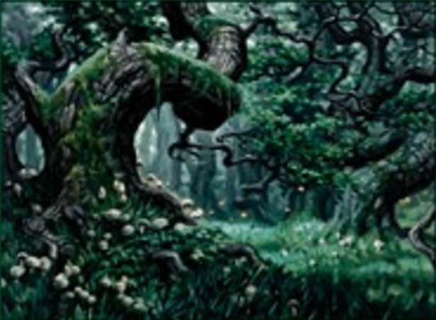 Foresta