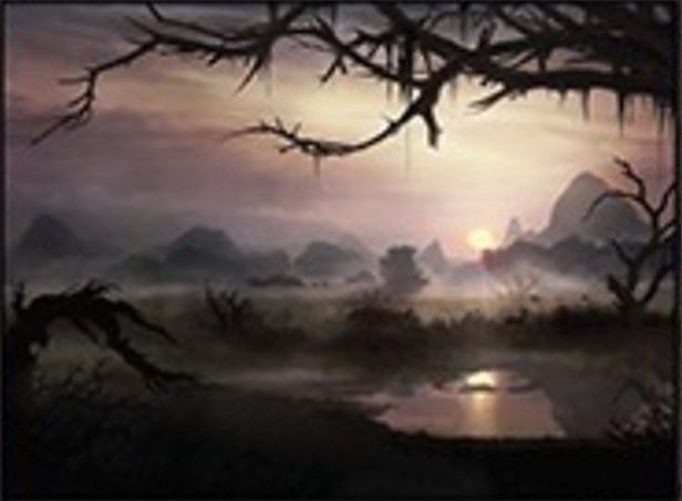 沼