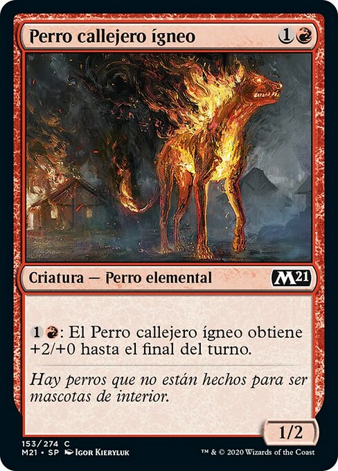 Perro callejero ígneo