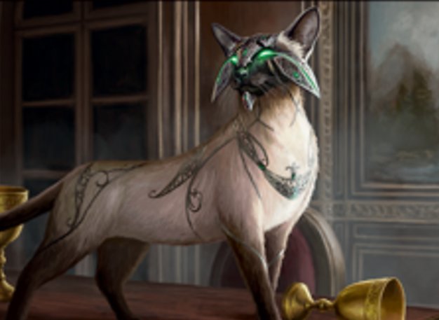 猫の君主