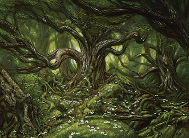 Floresta