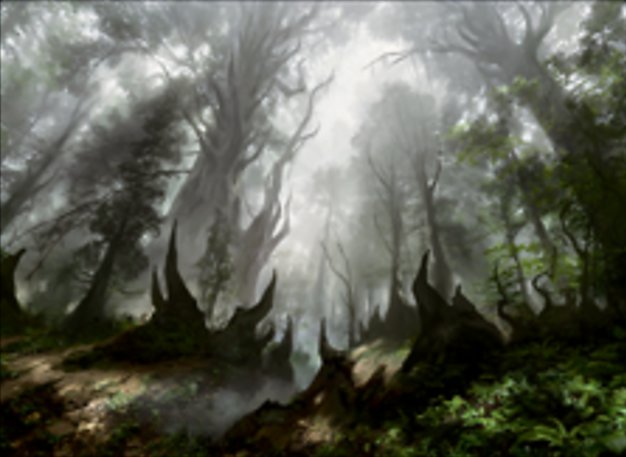 Floresta