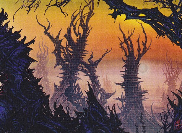 Forest