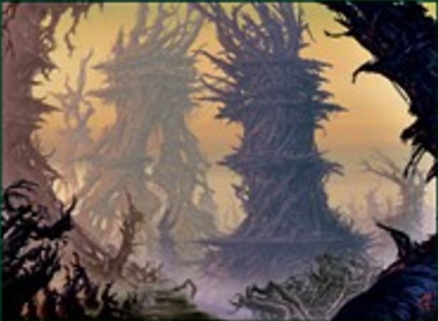 Forêt