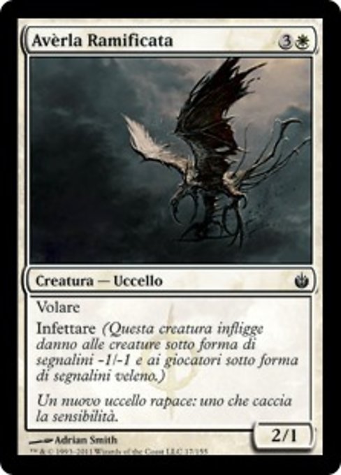 Avèrla Ramificata
