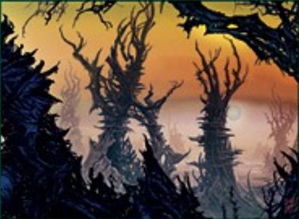 Floresta