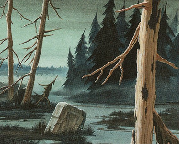 Swamp