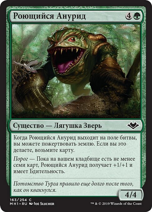 Роющийся Анурид