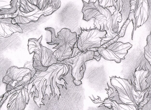 Sylvan Anthem