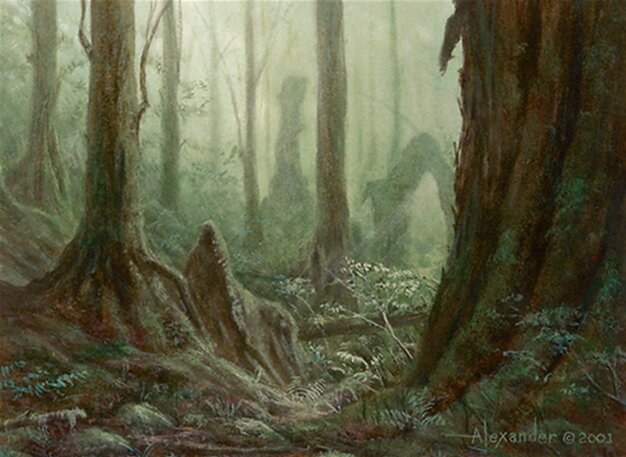 Floresta